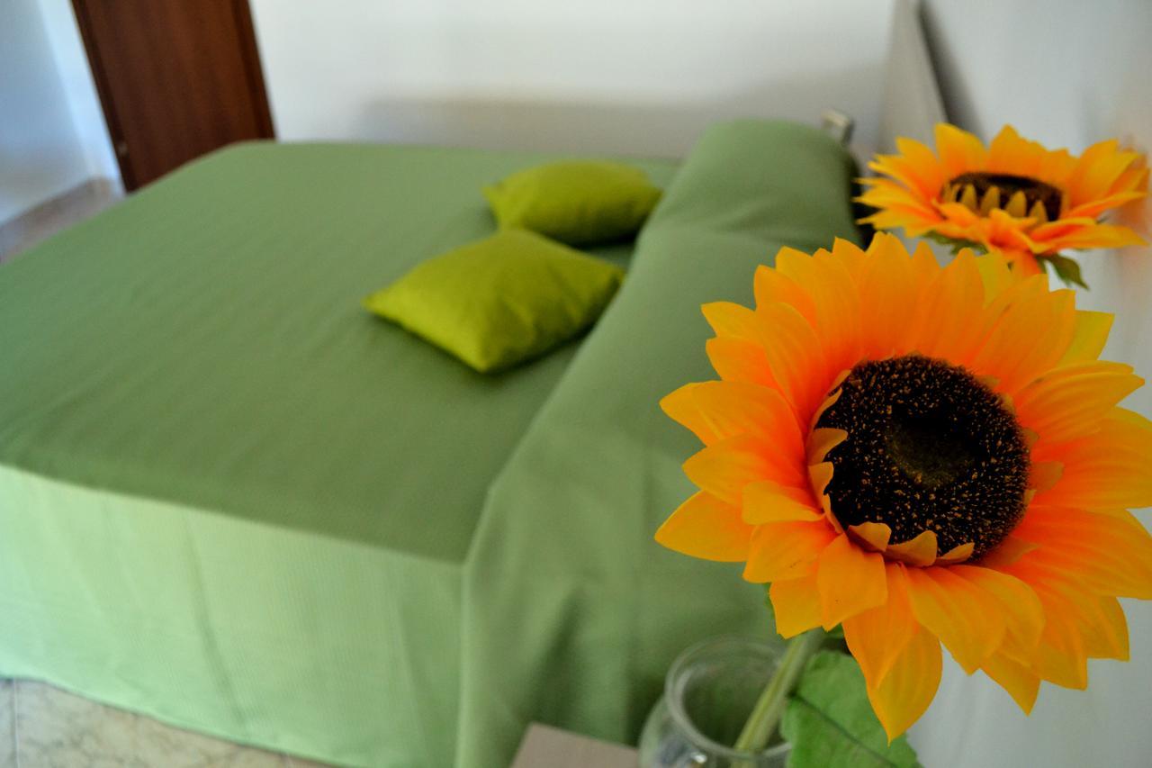 Bed & Breakfast Atticvs Di Mamma Ines Roma